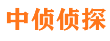 武清市私家侦探